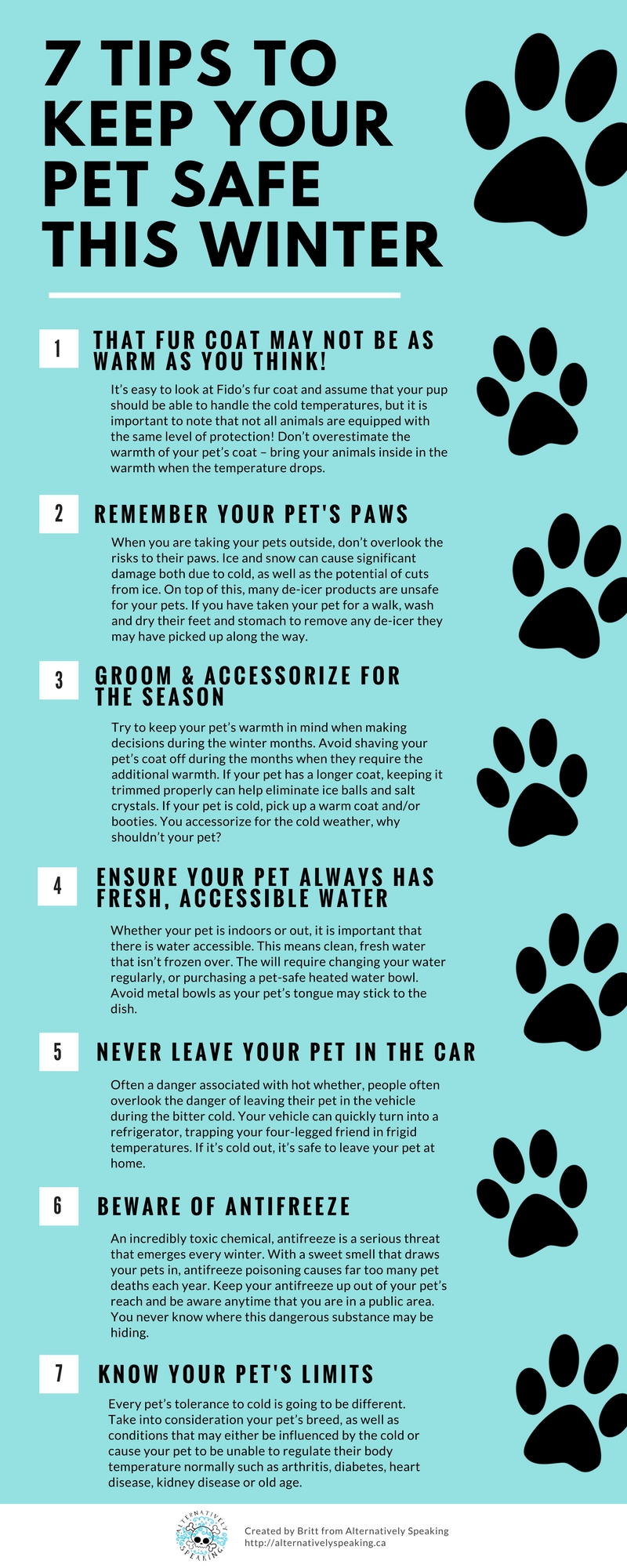 pet safety winter pet safety, caring for your pet, pet parents, pets, dogs, cats