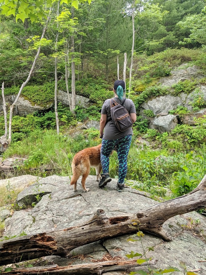 woman standing on a rock with her dog overlooking an outroor view of trees and wildlife