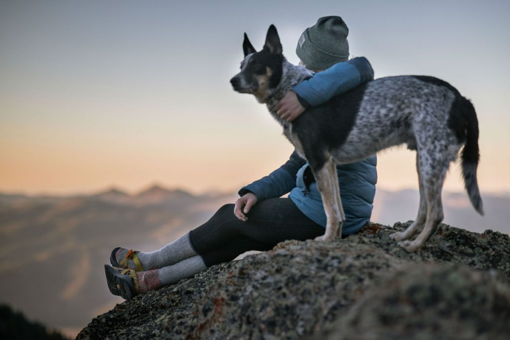 woman sitting on a rock ledge with her arm around her dog watching the sunset
