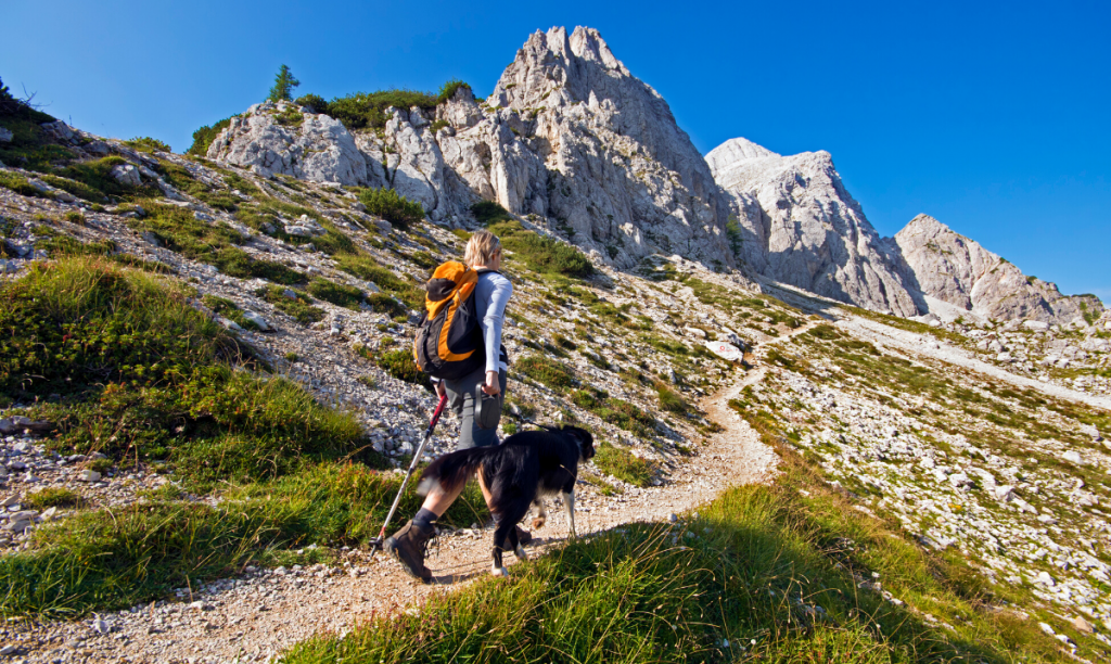 an individual with their dog hiking on a trail in a mountain area