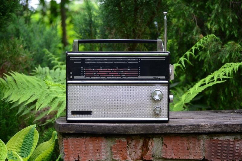 A silver and black retro style radio with a telescoping antena sitting on a wooden surface surrounded by plant life.