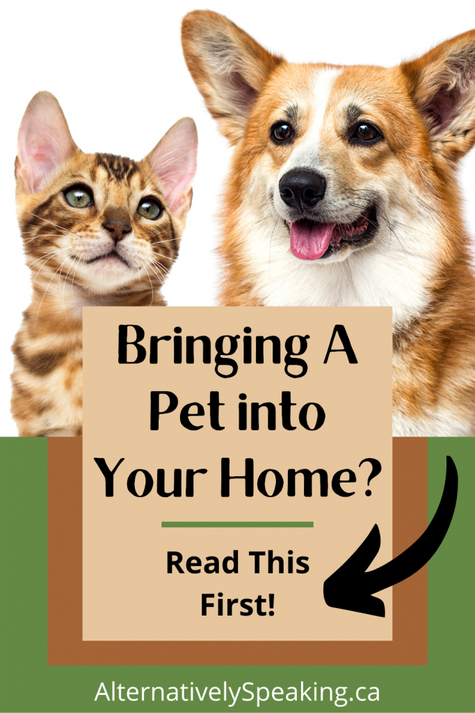 dog and cat sitting beside each other | The 10 Essential Realities Of Bringing A Pet Into Your Home