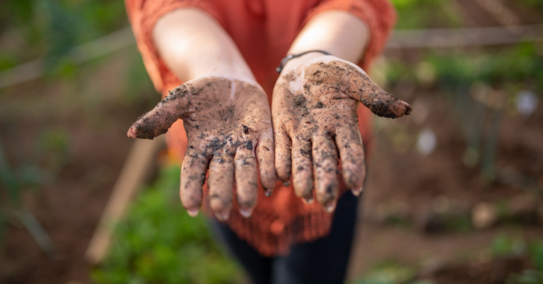 a person showing their dirty hands while standing in the garden